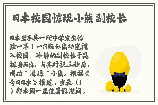 qqc十年沉淀只做精品MBA智库